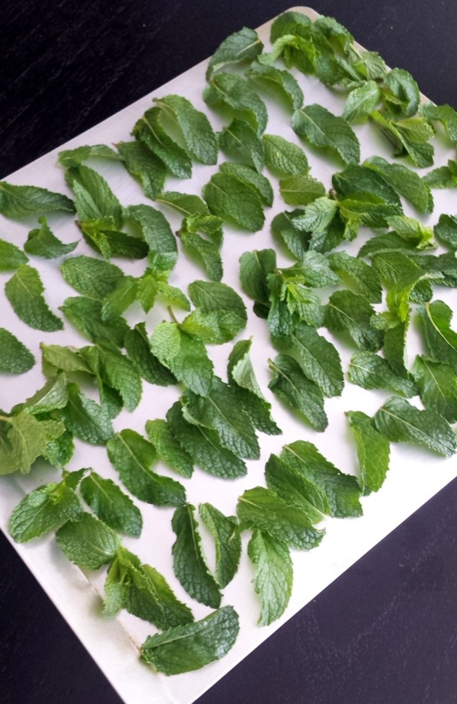 MInt leaves on a baking sheet